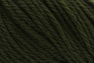 Cascade 220 - Chive (1036) - 100g