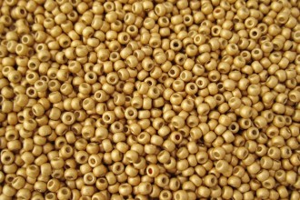 Toho Glass Seed Beads, PermaFinish Gold Metallic Matte (PF557F) - Size 8, 3mm