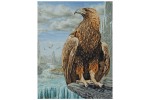Anchor - Maia Collection - 3D Eagle (Cross Stitch Kit)