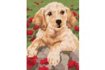 Anchor - Starter Kit - Labrador Puppy (Tapestry Kit)