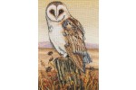 Anchor - Owl Horizon (Cross Stitch Kit)