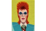Appletons - David Bowie by Emily Peacock (Tapesty Kit)