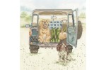 Bothy Threads - Paws For A Picnic (Cross Stitch Kit)