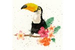Bothy Threads -  Toucan of my Affection (Cross Stitch Kit)