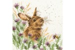 Bothy Threads -  The Meadow (Cross Stitch Kit)