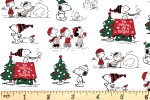 Craft Cotton Co - Snoopy's Christmas Fun - Christmas Fun (2804-01)