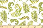 Craft Cotton Co - A Country Walk - Ferns - White (2967-10)