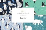 Dashwood - Arctic Collection