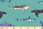 Dashwood - Aquatic Paradise - Sharks (AQUA2100)