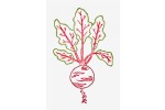 DMC - Beetroot Embroidery Chart (downloadable PDF)