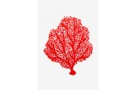 DMC - Crimson Sea Fan Coral Embroidery Chart(downloadable PDF)