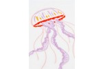 DMC -  Jellyfish Embroidery Chart (downloadable PDF)