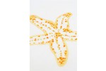 DMC -  Starfish Embroidery Chart (downloadable PDF)
