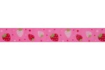 Bowtique Grosgrain Ribbon - 20mm wide - Strawberries - Pink (5m reel)