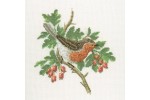 Heritage Crafts - David Merry - Robin (Cross Stitch Kit)