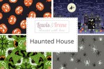 Lewis and Irene - Haunted House Collection