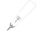 Embroidery Scissors with necklace and holder