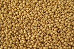 Toho Glass Seed Beads, PermaFinish Gold Metallic Matte (PF557F) - Size 8, 3mm