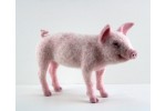 World of Wool - Pippin the Pig (Needle Felting Kit)