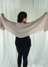Cascade A373 - Lace Stole by Cheryl Beckerich in Ecological Wool (downloadable PDF)
