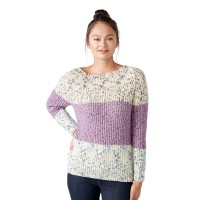 Caron - 3 Color Knit Sweater in Simply Soft Speckle (downloadable PDF)