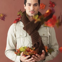 Bernat - Handsome Scarf in Softee Chunky (downloadable PDF)