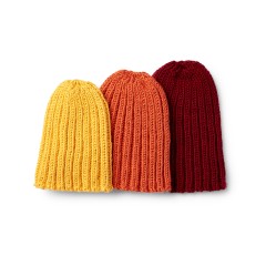 Caron - The Everybody Knit Hat in Simply Soft (downloadable PDF)