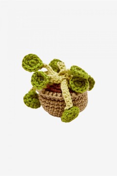DMC - Money Plant Crochet Pattern (downloadable PDF)