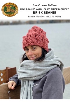 Lion Brand M20356 - Brisk Beanie in Wool-Ease Thick & Quick (downloadable PDF)