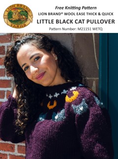 Lion Brand M21151 - Little Black Cat Pullover in Wool-Ease Thick & Quick (downloadable PDF)