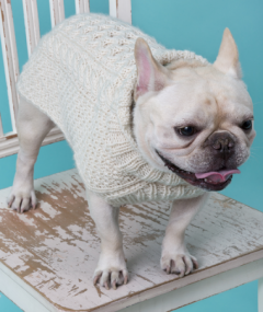 Red Heart - Cabled Dog Sweater in Super Saver (downloadable PDF)