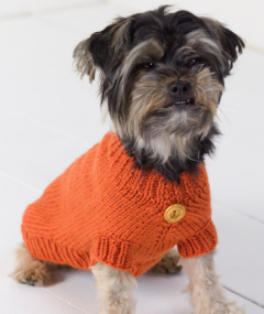 Red Heart - Dog Sweater in Super Saver (downloadable PDF)