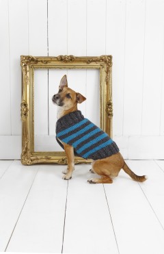 Stylecraft 9179 Striped Dog Coat in Life Chunky (downloadable PDF)