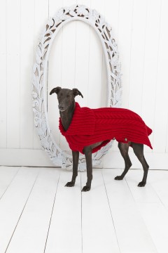 Stylecraft 9180 Cabled Dog Coat in Life Chunky (downloadable PDF)