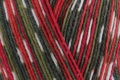 West Yorkshire Spinners Signature 4 Ply - Holly Berry (886) - 100g