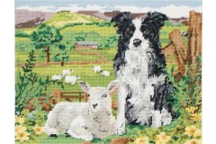 Anchor - Border Collie and Lamb (Tapestry Kit)