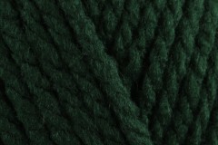 Bernat Softee Chunky - Dark Green (28237) - 100g