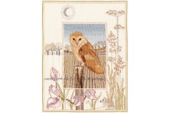 Derwentwater Designs - Barn Owl (Cross Stitch Kit)