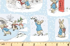 Craft Cotton Co - Peter Rabbit Most Wonderful Time - Christmas Scenes (2906-05)