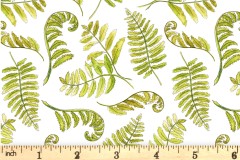 Craft Cotton Co - A Country Walk - Ferns - White (2967-10)
