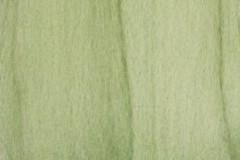 Clover Natural Wool Roving - 20g - Mint