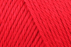 Caron Simply Soft - Harvest Red (9763) - 170.1g