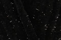 Cygnet Jelly Baby Glitter - Ink Spot (018) - 100g