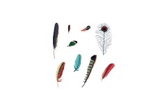 DMC - Autumn Feathers Cross Stitch Chart (downloadable PDF)