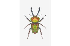 DMC - Beetle Cross Stitch Chart (downloadable PDF)