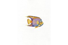 DMC - Tropical Fish (Cross Stitch Kit)
