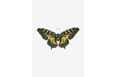 DMC - Butterfly Cross Stitch Chart (downloadable PDF)