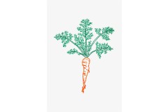 DMC - Carrot Embroidery Chart (downloadable PDF)