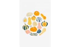 DMC - Thanksgiving - Pumpkins and Squashes Embroidery Chart (downloadable PDF)