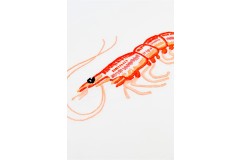 DMC - Shrimp Embroidery Chart (downloadable PDF)